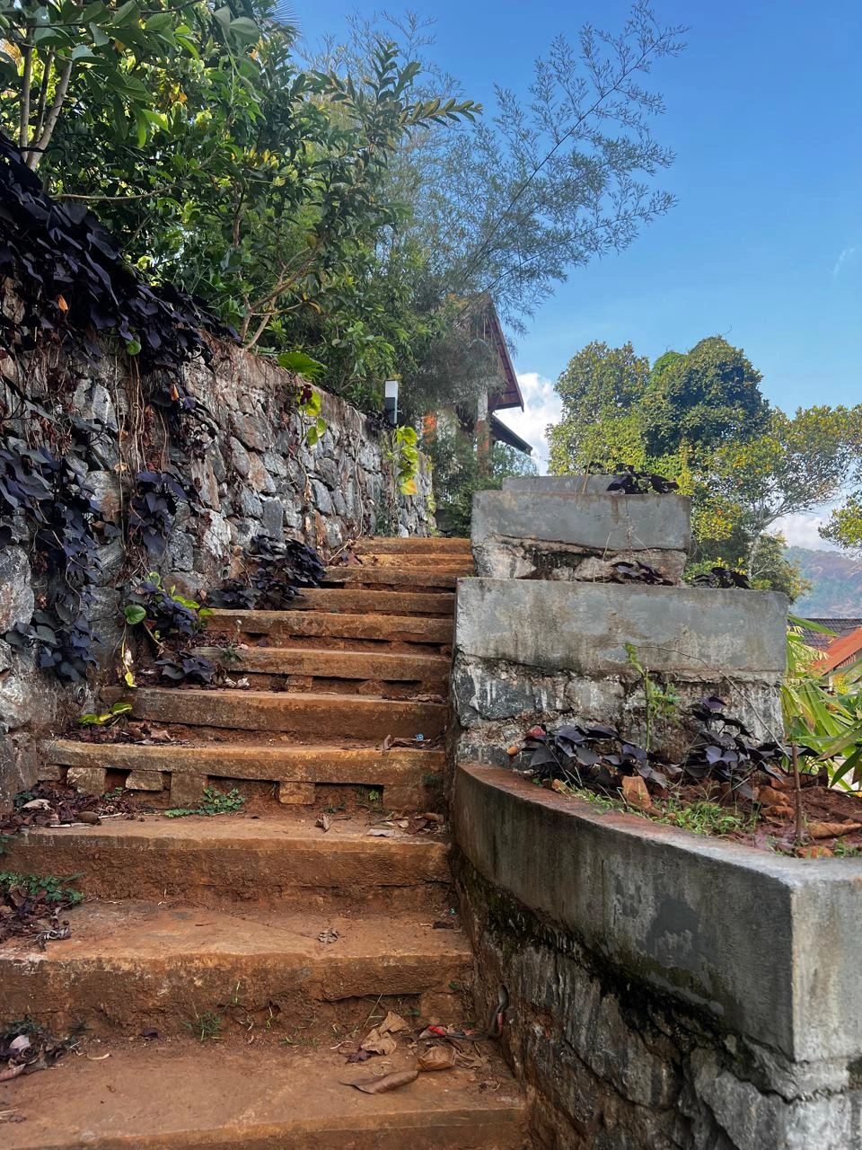image10